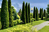 Вячеслав Володин поздравил россиян с Троицей фотографиями из саратовского монастыря